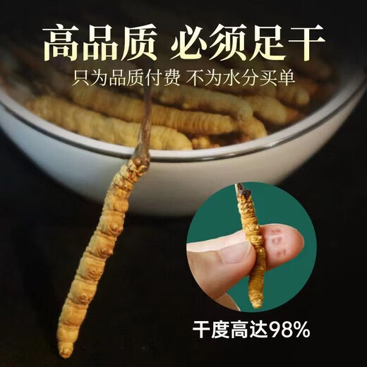 Authentische tibetische Gegend naqu großes gebrochenes Gras frisch cordyceps sinensis cordycep