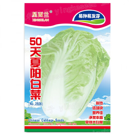 Complete collection of various vegetable seeds for the vegetable garden in all seasons, autumn, coriander, radish, cabbage, tomato, lettuce, green onion, spinach seeds, dark brown, 30 pieces of pepper