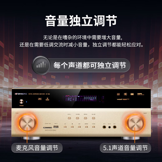 Danish Sheng (DMSEINC) JY-550 Home Cinema Audio 5.1 CANAL PASSIVO PASSIVO Sala de estar Audio Home Audio Audio Home KTV Subwoofer combinado con paquete de amplificador 2: 5.1 Canal + 9600 Amplificador [Edición profesional]