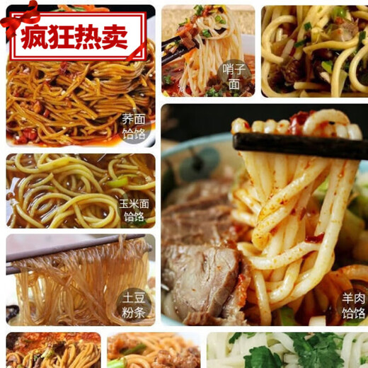 Shantou Lincun Household Noodle Machine Manual Noodle Machine Noodle Machine Noodle Pressing Machine Non-Thickened Double Bearing Model + Stainless Steel Barrel + 9 Grinding Tools