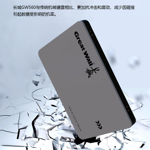 长城（Great Wall) 256GB SSD固态硬盘 SATA3.0接口 读速540MB/S台式机/笔记本通用 GW560系列 