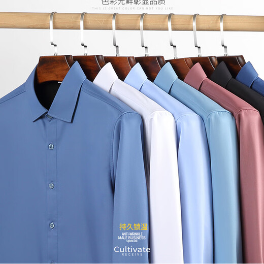 ROMON Chemise Thermique pour Hommes Printemps, Automne et Hiver Slim Business Casual Chemise en Velours épaissi élastique sans Fer Fibre de Bambou Bleu Ciel + Blanc Velours épaissi en Deux pièces 41 (140-155Jin Jin équivaut à 0,5 kg)