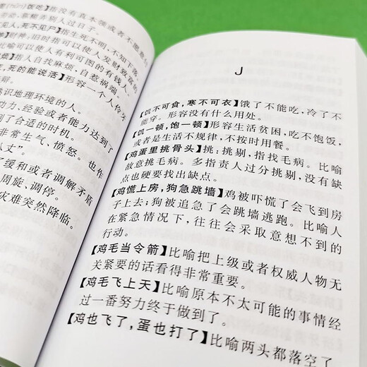 2800 Idioms (Pocket Book) 2021 Latest Edition Portable and Practical Chinese Learning Chinese Dictionary Riddles and Proverbs Idioms Tongue Twister Dictionary