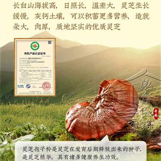北京同仁堂 灵芝孢子粉 破壁灵芝孢子粉 孢子粉 增强免疫力成人中老年人术后营养品探病礼物 1盒装【体验装】