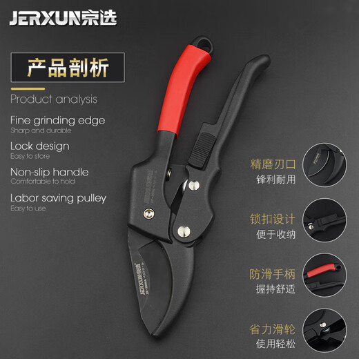 JERXUN pruning shears, garden scissors, tree branches, fruit tree scissors, gardening shears, flower shears, powerful thick branch shears, floral scissors tools