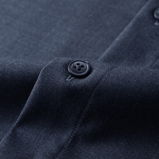 雅戈尔（YOUNGOR）衬衫男士秋冬青年男长袖衬衫羊毛混纺面料可机洗衬衫 藏青色素色VLQW119709FBA 39 （170/88A）