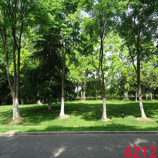网红主播直播背景布拍视频段子3d立体背景墙夜景风景外景 6173 1.5米宽2米高