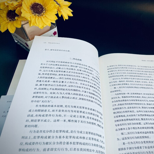 Methodology for the Application of Criminal Law by He Ronggong