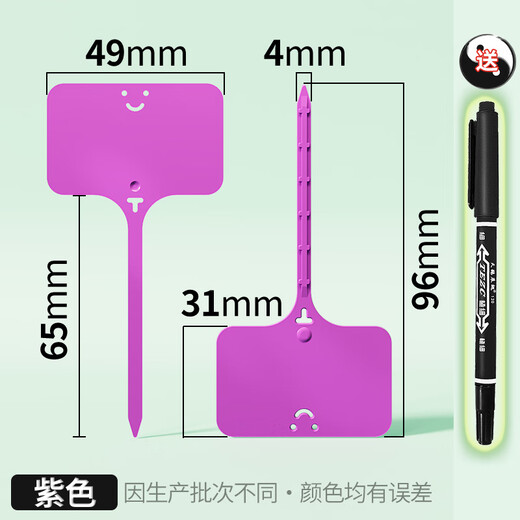 Fantasy seedling flowerpot plastic succulent label flower gardening ground brand potted plant name label anti-mixed color 10 pieces 9.6cm