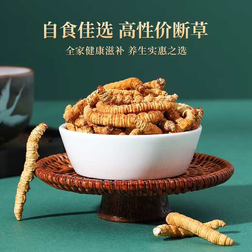 紫蓝花海冬虫夏草 断虫草 精品纯肉节断草 自食高性价比 大号纯肉节100克装【全家滋补】