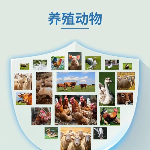 Xiongmu multi-potent calcium for veterinary use, special calcium supplement for poultry, pigs, cattle and sheep, high calcium to promote growth, nutrition and bone strengthening, feed additive multi-potent calcium 3 bags