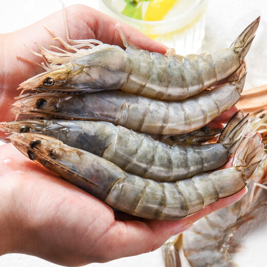 Jingxian Port Ecuadorian white shrimp net weight 3Jin Jin is equal to 0.5kg, extra large size 45-60 pieces/box salt-frozen prawns for family dinner