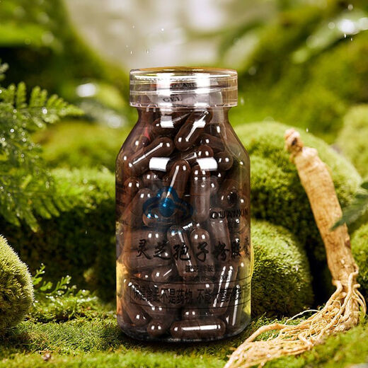 Peking Tongrentang [offizielles Geschäft I Flaggschiff] Quan Xin Guozhi Marke gebrochene Wand Ganoderma lucidum spore pulverkapsel Spezielle Grad Wild Deep Sleep Quan Xin Ganoderma lucidum 0,25 g/100 Kapseln/6 Flaschen