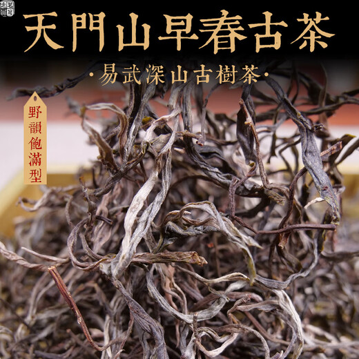 Mingguan Zhongpin 2021 Yiwu Tianmen Mountain Early Spring Ancient Tree Loose Tea Yunnan Ancient Tree Loose Tea Pu'er Tea Loose Tea 500g