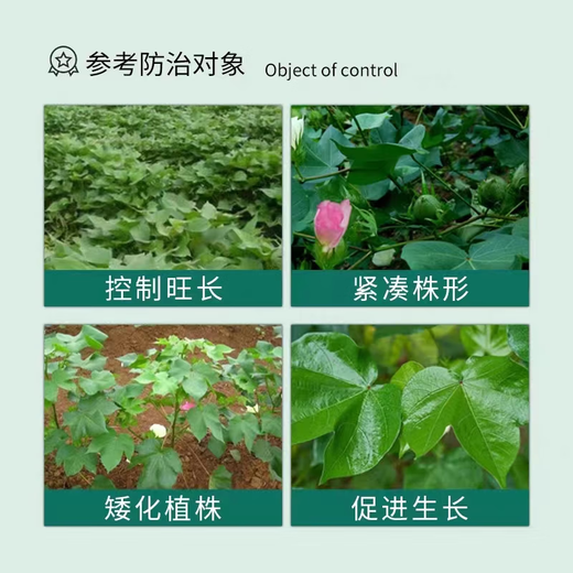 Guoguang methylphenidate, grape, tomato, cotton, dwarf, strong, short internodes, anti-lodging regulator 100g