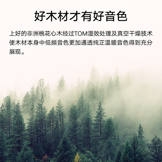 Tom Ukulele adult children beginner 26-inch mahogany veneer T5SE electric box classic version small guitar