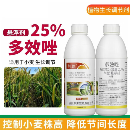 25% paclobutrazol citrus lychee fruit tree rice wheat growth control agent chlormequat pesticide plant growth regulator 500 (10 bottles)