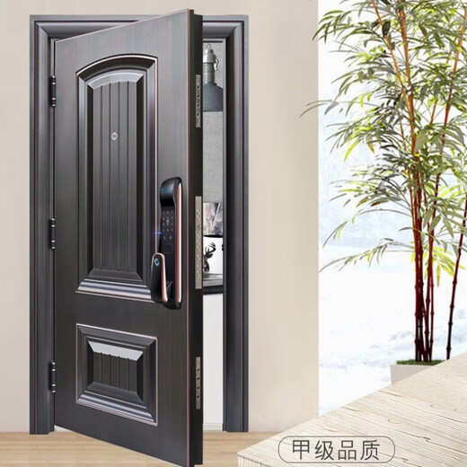 维诺亚甲级防盗门锌合金门子母门家用安全门进户门入户门定制别墅大门 甲级门+指纹锁(标配)