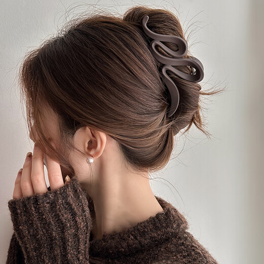 Senqi hairpin women's back hairpin large hairpin hair volume multi-head accessories light luxury high-end hair shark hairpin hair accessory F2404 dark coffee color