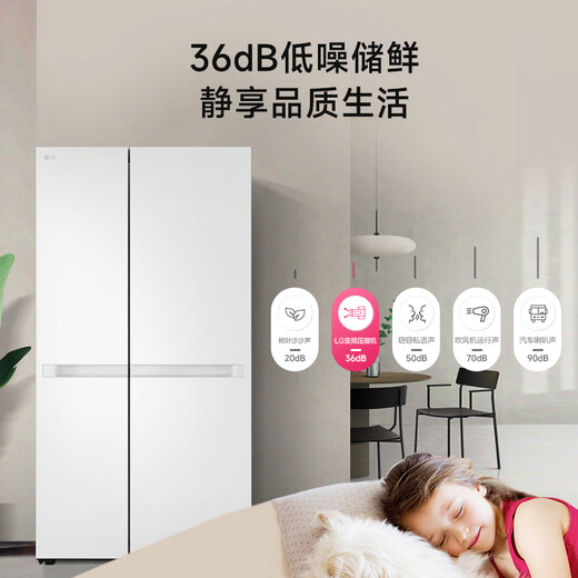 LG大容量664L家用冰箱双开门国家补贴节能风冷无霜电冰箱对开门分区精储以旧换新S674MEG11D