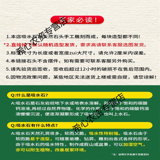 Xushansi water-absorbing stone rockery bonsai original stone water-absorbing stone micro-landscape landscaping strange stone ornamental stone matching decoration 10-14cm water-absorbing stone does not include pots and comes with grass seeds and stones