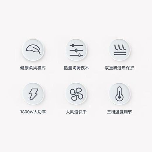 Borui PH1627 hair dryer 1800 watt high power hot and cold air cylinder Internet celebrity hammer portable constant temperature hair salon white 1800 watts