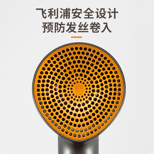 Philips Hair Dryer Household High Power Hair Dryer Negative Ion Hair Care Birthday Gift for Girlfriend or Boyfriend Couple Birthday Gift Official Flagship Store Gift Black Gold Tube BHD321/05