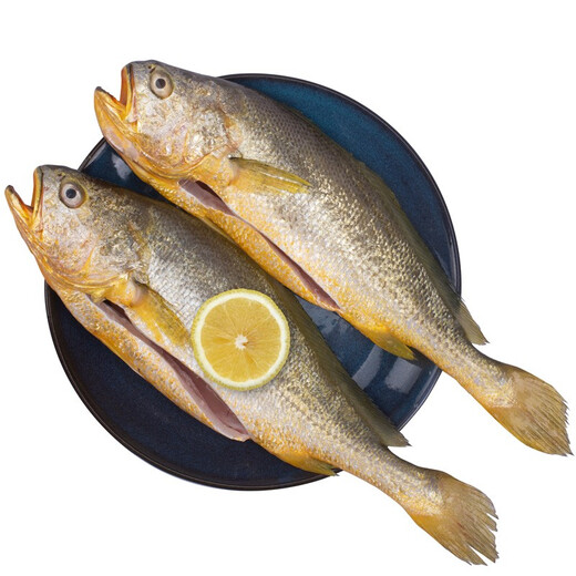 Member Store No. 1, Sam's Factory, Frozen Ningde Three-Degree Large Yellow Croaker, Yellow Croaker, Net Weight 700g/2 Pack, Aquatic Fish
