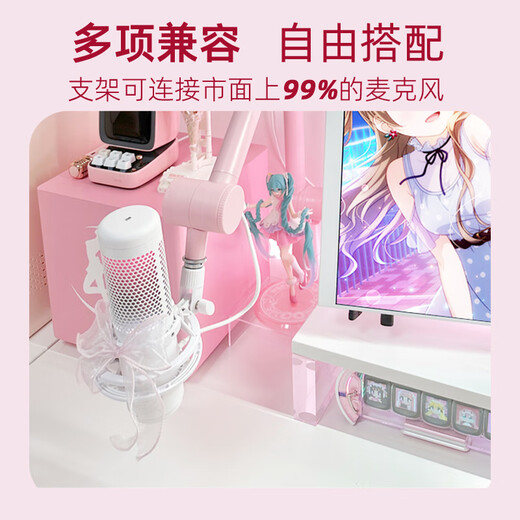 TerraTec microphone microphone cantilever desktop stand live broadcast artifact karaoke universal aluminum alloy pink stand pink