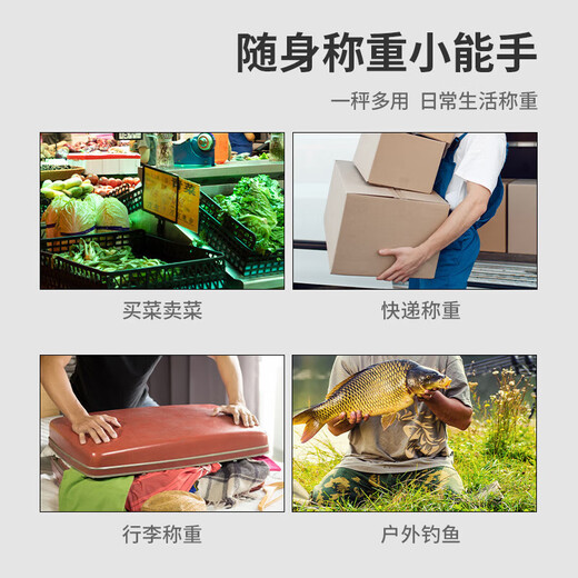 Ogilvy portable electronic scale portable gram weight scale home weighing vegetable courier crane scale high precision compact 50kg