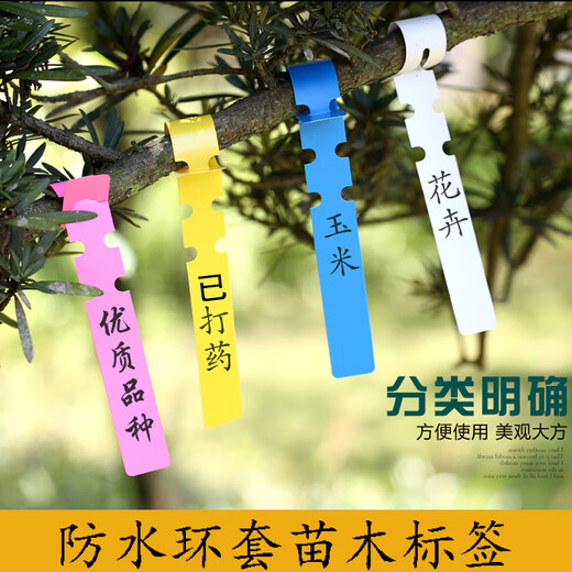 Shipton PVC waterproof ring set flower plant label seedling gardening label plastic orchid label ring buckle tag ring set - green (100 photos)