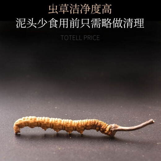 Yifanmai authentisch cordyceps cordyceps cordyceps cordycep