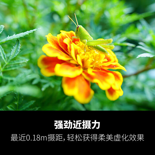 Tamron (Tamron) 28-75mm F2.8 G2 second generation A063 video live broadcast mirrorless single Tamron 28-75 second generation lens large aperture standard zoom full frame lens port 2875g2 Sony FE mount official standard free Tamron UV filter gift pack