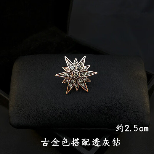ROSENA SAMMI复古六芒星小胸针西装大衣男士百搭领口扣针装饰衬衫防走光固定扣 六芒星古金色一对【礼盒装】