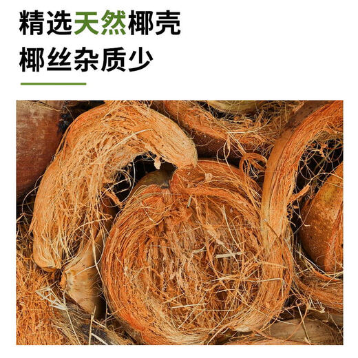 Man Life Tortoise Hibernation Coconut Soil Coconut Brick 1 Reptile Pet Coconut Soil Sterile Moss Mat Moisturizing Spider Horned Frog Reptile Pet Supplies