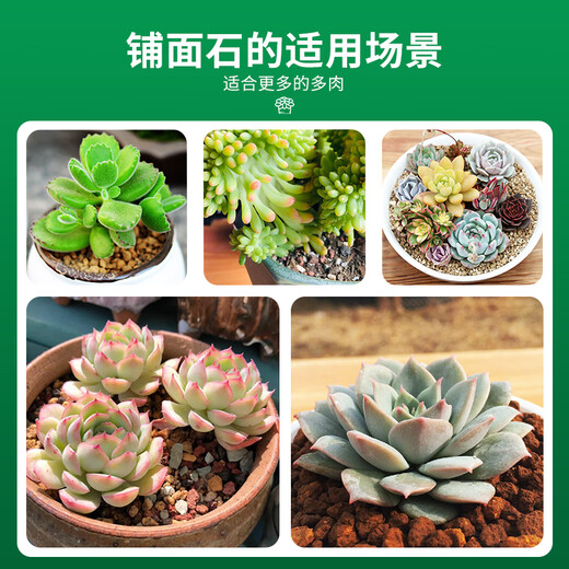 Tierra de diatomeas Devodore, fondo de maceta de 2,5 kg (3-5 mm) mezclado con relleno de tierra, matriz de cultivo hidropónico transpirable sin suelo que retiene agua