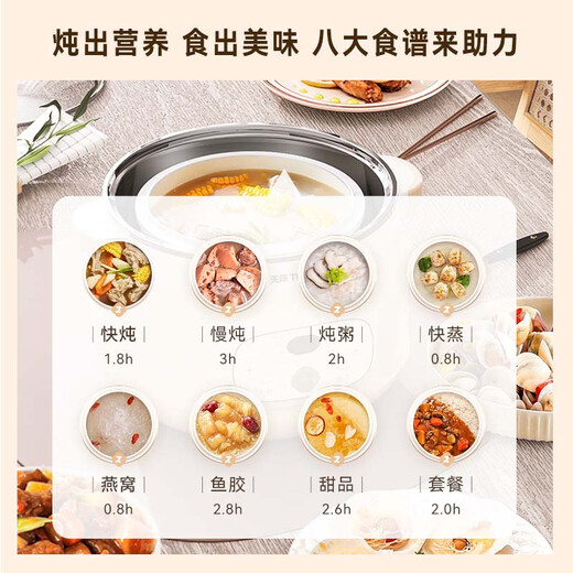 Tianji (TONZE) electric stew pot, electric stew pot, water-proof stew pot, soup pot, porridge pot, bird's nest stew pot, health care, steaming and stewing for 3-5 people, white porcelain gallbladder, government subsidy DGGD24A224BZDQ