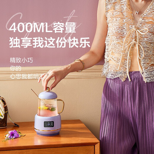LIFE ELEMENT Mini Health Kettle, Automatic Insulation and Constant Temperature Heating, Gift for Wife and Girlfriend on Holidays and Birthdays, Multi-Functional Healthy Flower Tea, Stew, Electric Stew Health Cup I156