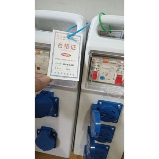 工地安检加厚手提箱防水防爆插座电箱220V户外移动插座漏电保 灰壳加厚二位防水五孔双漏保