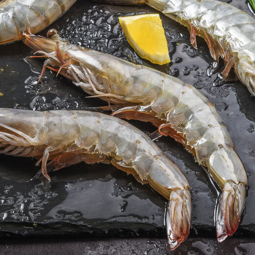 Jingxian Port Ecuadorian white shrimp net weight 3Jin Jin is equal to 0.5kg, extra large size 45-60 pieces/box salt-frozen prawns for family dinner