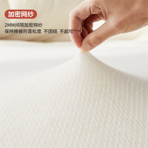 Antarctic human quilt Xinjiang cotton non-100% cotton quilt quilt core thickened cotton padding quilt can be equipped with a cotton quilt cover + cotton batting quilt