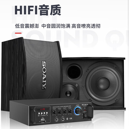 索爱（soaiy）家庭影院KTV音响套装客厅家用电视唱K歌商用门店会议设备卡拉ok全套专业功放音箱话筒组合CK-M6