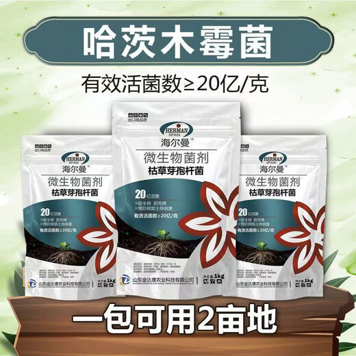 Guanlong Agricultural Chemical Bacillus subtilis compound microbial agent to prevent and control bacterial wilt, root rot, ginger plague and root rot 1000g*1 bag