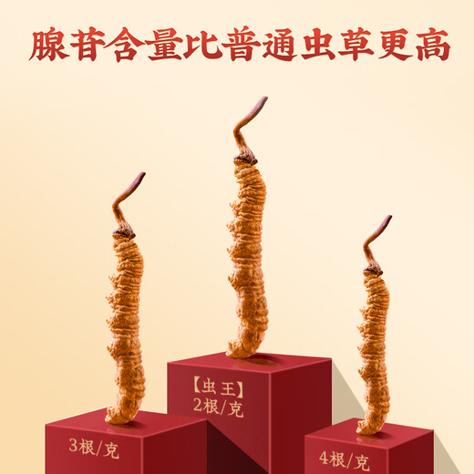 Tongfu cordyceps Sinensis 2 корни/G 1G упаковка. Первый период новых Cordyceps Sinensis Высококачественные сухие товары без перерыва.