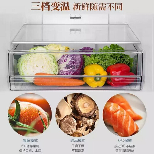 Haier refrigerator two-door double-door ultra-thin embedded large capacity first-class energy efficiency air-cooled frost-free household energy-saving silent large freezer 309 liters refrigerator Haier refrigerator large freezer series 309 liters