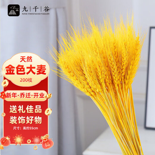 Nine thousand grains of wheat ears dried flowers and barley simulated bouquets for home living room pastoral decoration fake flower props gold 200 pieces 4404