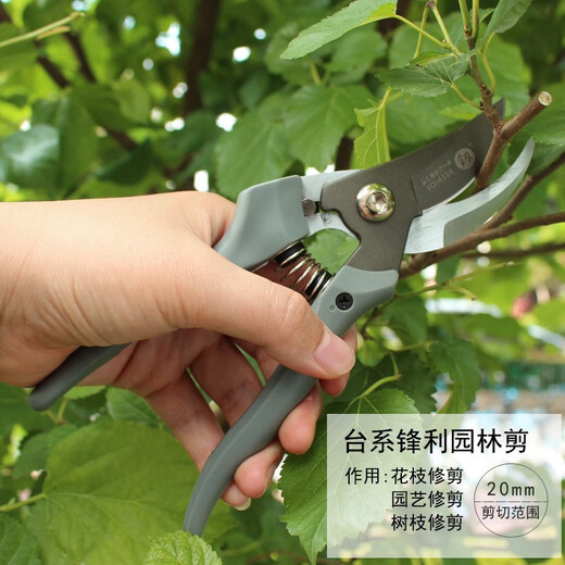 鰰 Fukuoka Tools Garden Shears Fruit Tree Pruning Shears Garden Shears Labor-Saving Scissors 200mm Garden Shears FO-4314