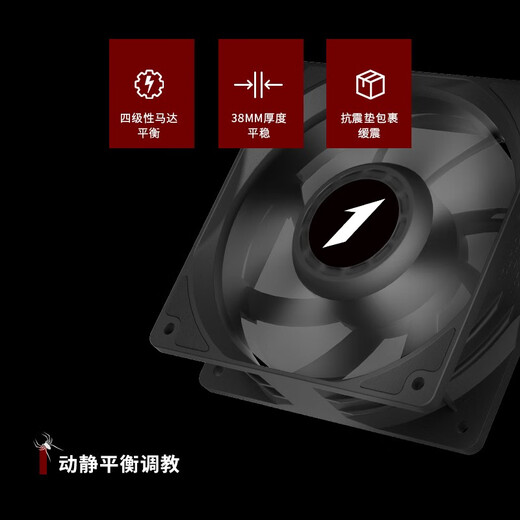 Chief Player (1st player)