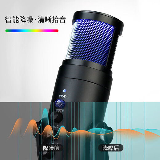 Onedy Core Upgrade Audiobook Special Recording Equipment Professional Set Himalayan Dubbing Microphone Online Class Game Live Broadcast Noise Canceling Microphone USB Computer Mobile Universal Colorful Upgraded Version - Charge and Use Set Professional Recording - Noise Reduction Card