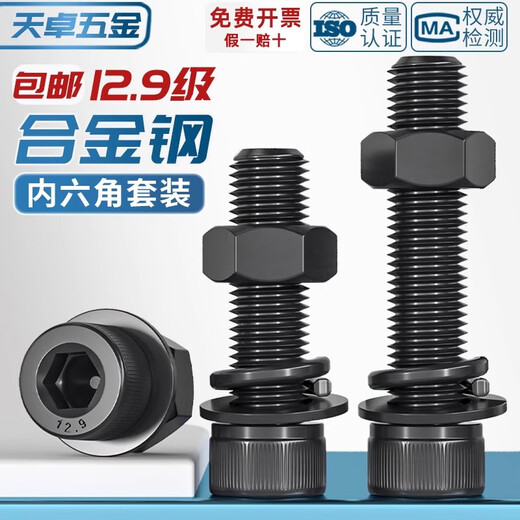 Tianzhuo Hardware Grade 12.9 High Strength Cup Head Hexagon Screw and Nut Combination Set Complete Bolt Flat Spring Washer M2-M20 M6*30-10 Set